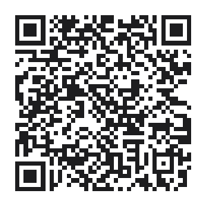 QR WhatsApp Disenis