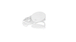 Cargador Dixlem RCS — 360° preview · click para HD