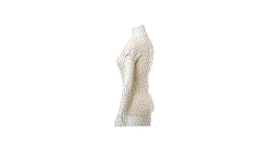 Camiseta Mujer "keya" Organic WM — 360° preview · click para HD