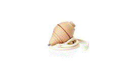 Peonza Gupy — 360° preview · click para HD