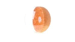 Balón Darmon — 360° preview · click para HD