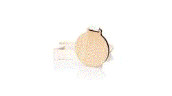 Medalla Guster — 360° preview · click para HD