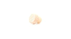 Tapón Filden — 360° preview · click para HD