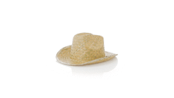 Sombrero Leone — 360° preview · click para HD
