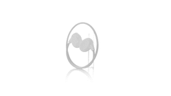 Auriculares Pulsex — 360° preview · click para HD
