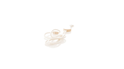 Lanyard Gibons — 360° preview · click para HD