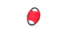 Frisbee Flybit — 360° preview · click para HD