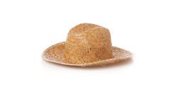 Sombrero Bull — 360° preview · click para HD