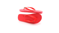 Chanclas Brasileira — 360° preview · click para HD
