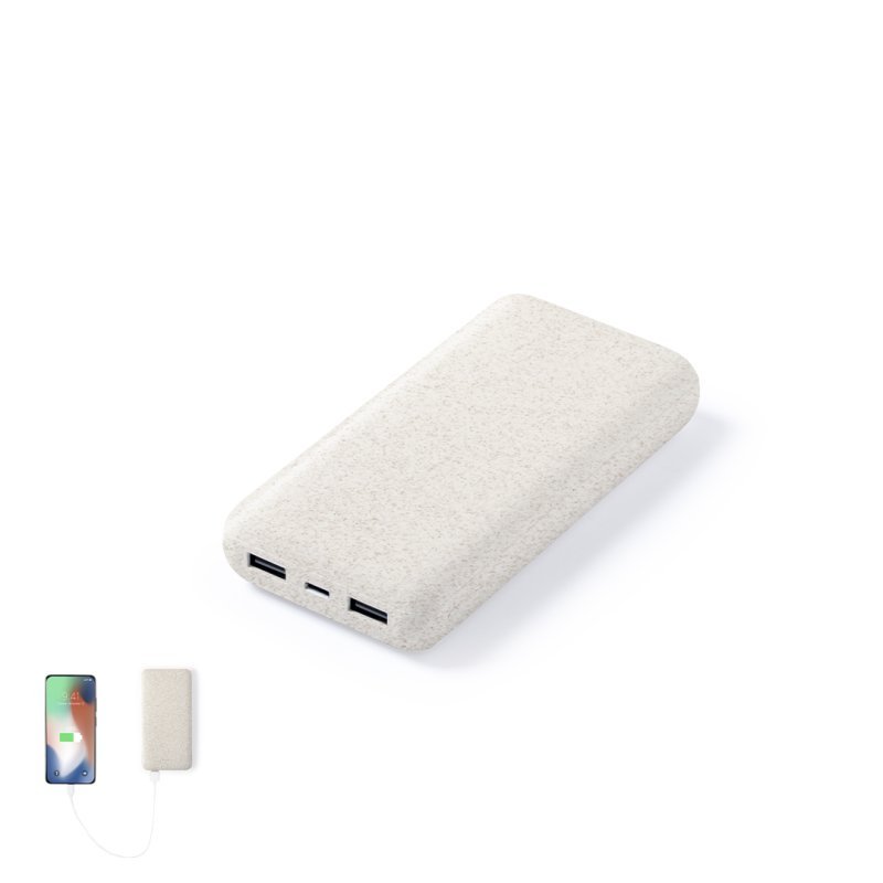 Golblum Power Bank