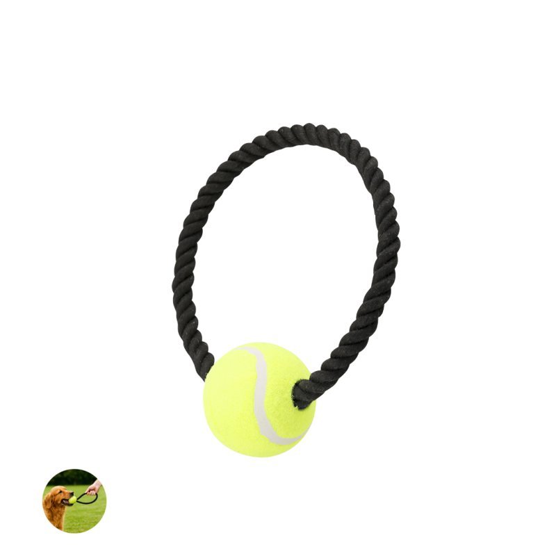 Xekar Mordedor Mascotas