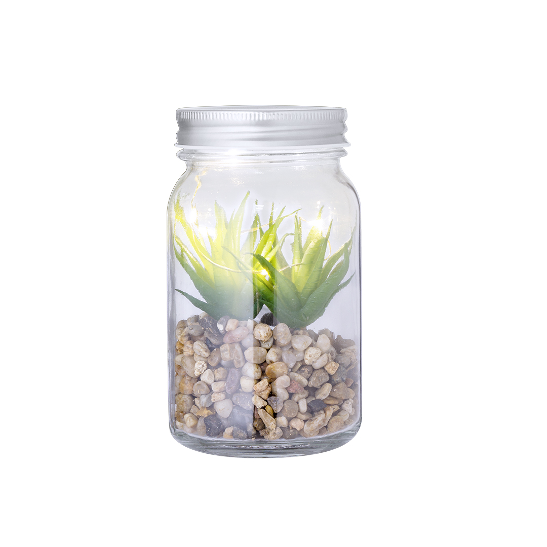 Kyala Planta Decorativa