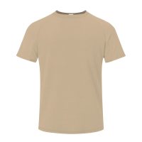 ARENA