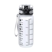 TRANSPARENTE