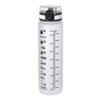 TRANSPARENTE