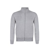 GRIS