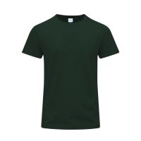 VERDE BOTELLA