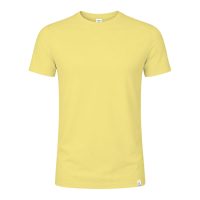 AMARILLO PASTEL