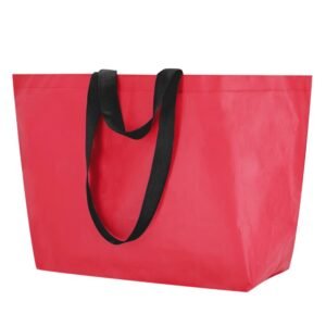 Bolsa Torvik